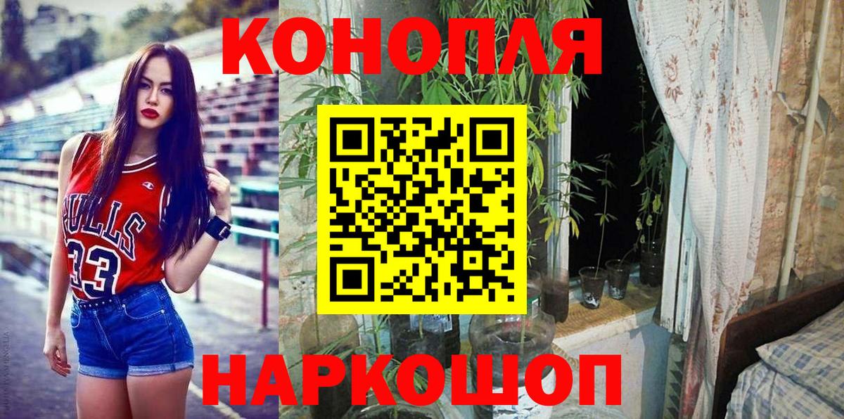 Бошки марихуана план Советск